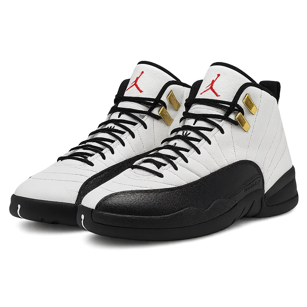 Air Jordan 12