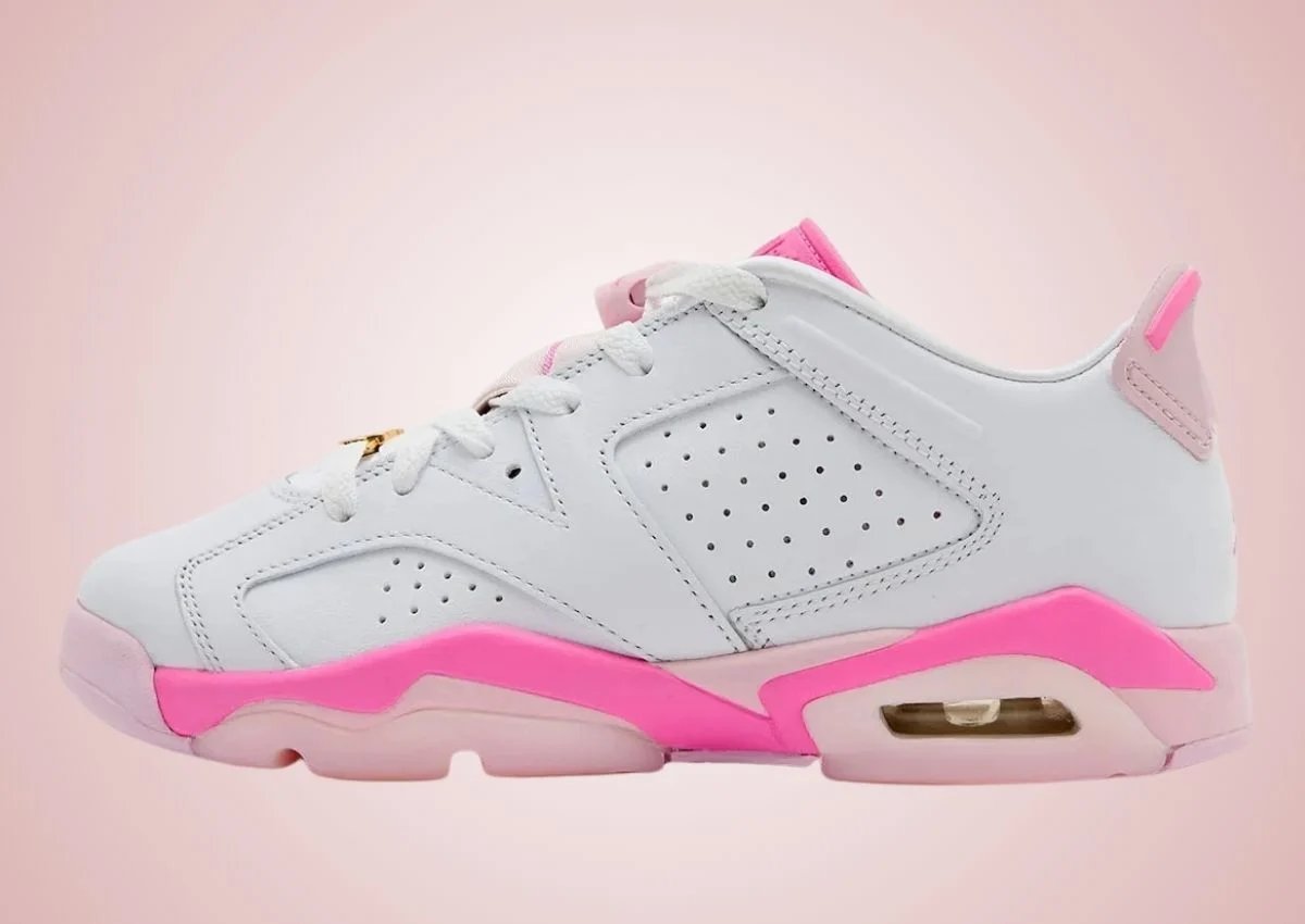 air_jordan_6_low__ch